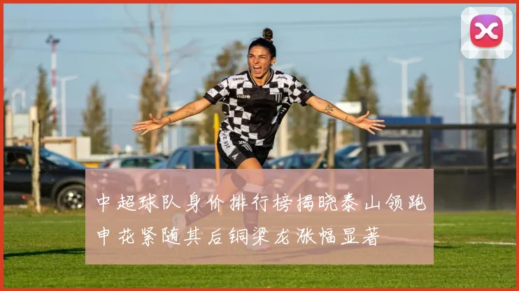 中超球队身价排行榜揭晓泰山领跑申花紧随其后铜梁龙涨幅显著